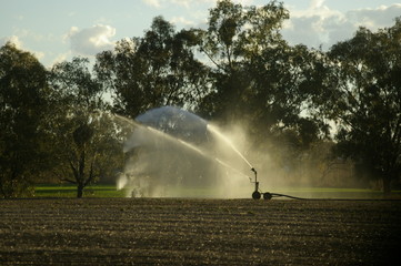 an industrial large water sprinkler spraying water on a farm in rural New South Wales, Australia