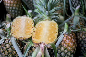 A lot of pineapple fruit