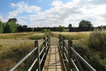Fototapeta premium Bridge