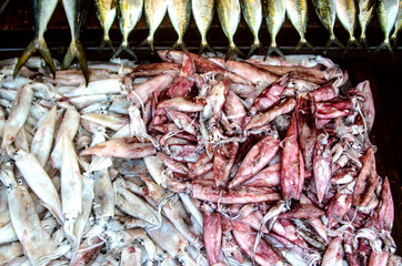 Red and white squid and fresh fish on the counter in a fish shop. Kalutara, Sri Lanka.
