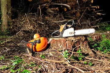 motorsäge mit schutzhelm im wald
