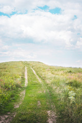 meadow with path in green grass and cloudy sky