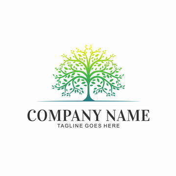 Brand Name Logo with Tree Vector Illustration Design Concept Creative
