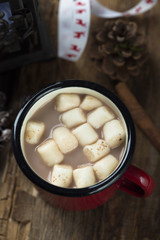 Cocoa drink with marshmallow