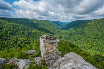 View of the Blackwater Canyon from Lindy Point, at Blackwater Falls State Park, West Virginia.