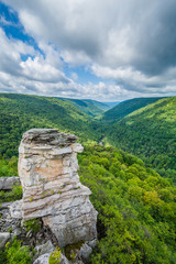 Fototapeta na wymiar View of the Blackwater Canyon from Lindy Point, at Blackwater Falls State Park, West Virginia.