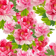 Seamless floral pattern,Peonies  and leaves on the white  background.  Romantic garden flowers illustration.