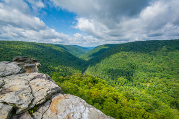 Fototapeta na wymiar View of the Blackwater Canyon from Lindy Point, at Blackwater Falls State Park, West Virginia.