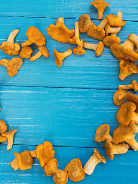 Chanterelle mushrooms scattered on a wooden blue table with copyspace in the center