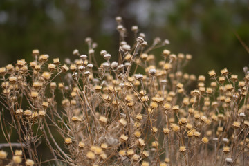 Moon landscape on Tenerife, Canary Island, Spain