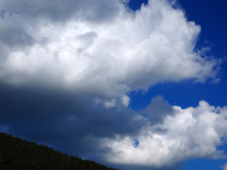 cumulus cloud over the forest