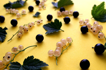 texture of currant white and black with leaves