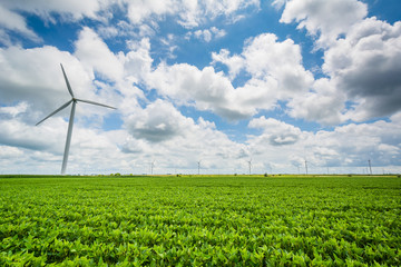 Windmills in rural Indiana