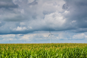 Fototapeta na wymiar Windmills in rural Indiana