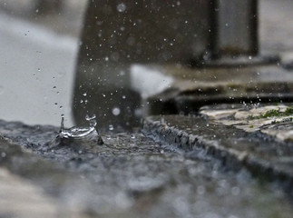 gota