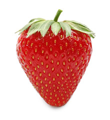 Sweet ripe strawberry on white background