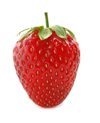 Sweet ripe strawberry on white background