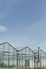 Fototapeta na wymiar Flower farm greenhouse with rich blue sky above.