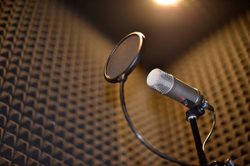 Sound recording room with noise insulation. Microphone with pop filter.