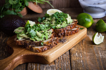 Fresh avocado toasts with cilantro, Mexican style healthy snack