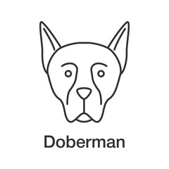 Doberman Pinscher linear icon