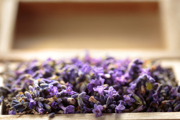 Lavender flower in a wooden box