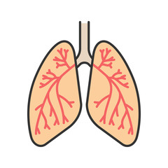 Human lungs with bronchi and bronchioles color icon