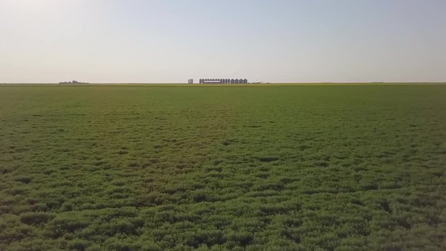 Pulse Crop Aerial, Farming