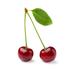 Ripe cherries on white background