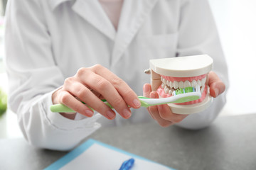 Female dentist with artificial jaw and toothbrush sitting at table