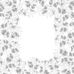 Canna lily Outline Border