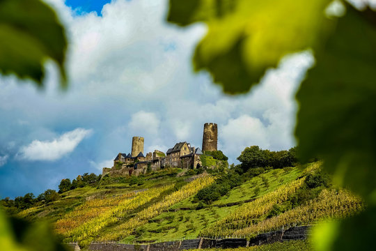 Moselregion - Burg thurant durch zwischen Weinlaub