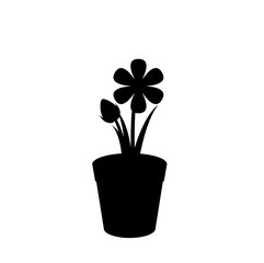 Black silhouette of flower in the pot isolated on white