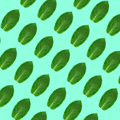 Mint leaves on a colored background. Fresh natural mint. Pattern of mint leaves