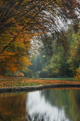 Fototapeta premium Idillic autumn landscape of park, lawn, yellow trees and lake