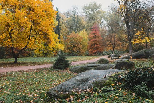 Idillic autumn landscape of park, lawn, yellow trees