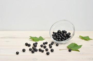 Berries of black currant in a transparent cup. Some berries are scattered over the surface. Light wooden background. Close-up.