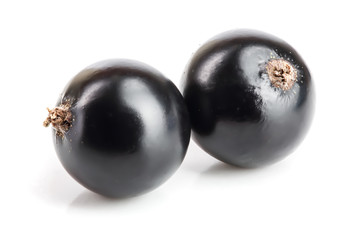 two black currant isolated on white background