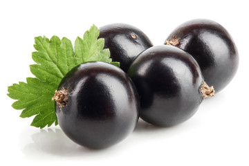 black currant with leaf isolated on white background