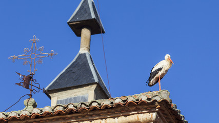 Cig&uuml;e&ntilde;a en un campanario en un pueblo espa&ntilde;ol