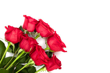 beautiful red rose with leaves isolated on white background with copy space for your text. Top view. Flat lay pattern