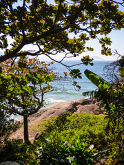 Atlantic forest and Atlantic ocean viewed from Morro da Galheta - Florianopolis, Brazil