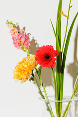 Flowers against a white wall.