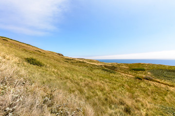 Fields in Dorset A, Dorset Landscape Summer 2018
