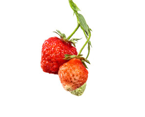 bunch of strawberry on isolated white background