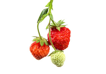 bunch of strawberry on isolated white background