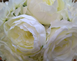 flowers. roses. macro. artificial flowers. beige. cream. ivory. dairy color.