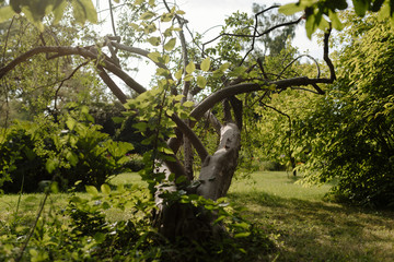 Botanischer Garten Greifswald