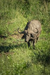 Obraz premium Rundreise Südafrika Roadtrip