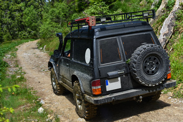 SUV moving along the forest mountain road